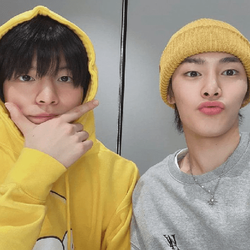 Seungin/Skz (icons)  3