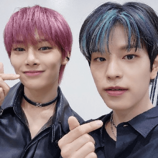 Seungin/Skz (icons)  10
