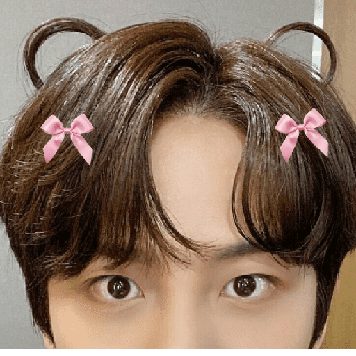 Jongho (coquette)  2