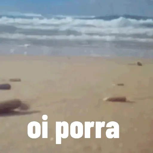 Figurinha 14