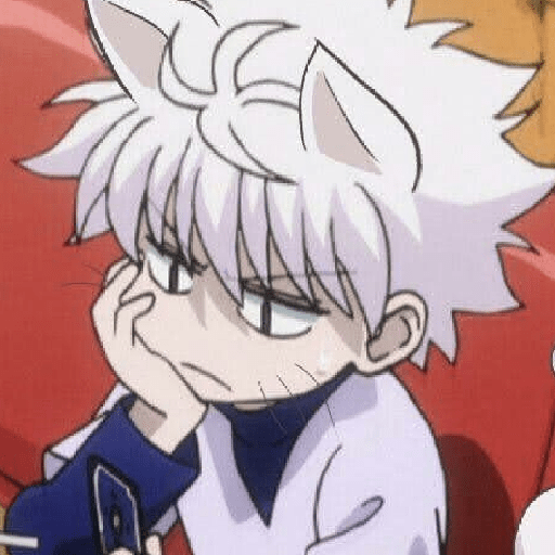Killua -.- 18