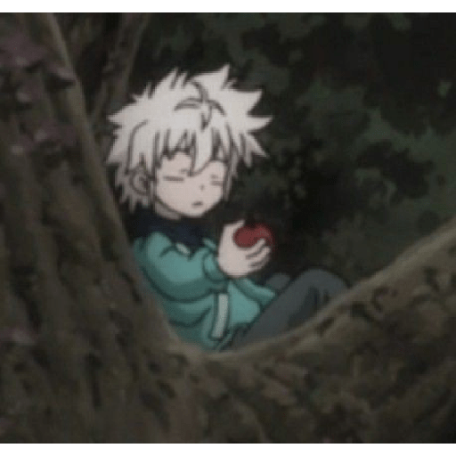Killua -.- 23