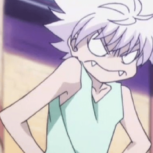 Killua -.- 14