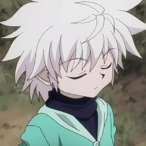 Killua -.- 10