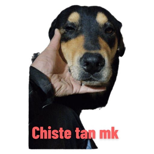 #ja ja ja