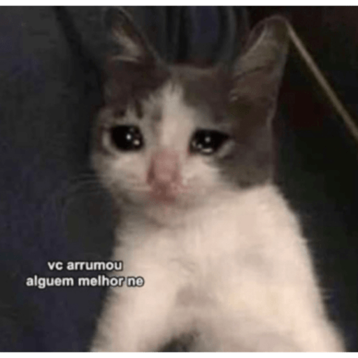 Gatinhos 2