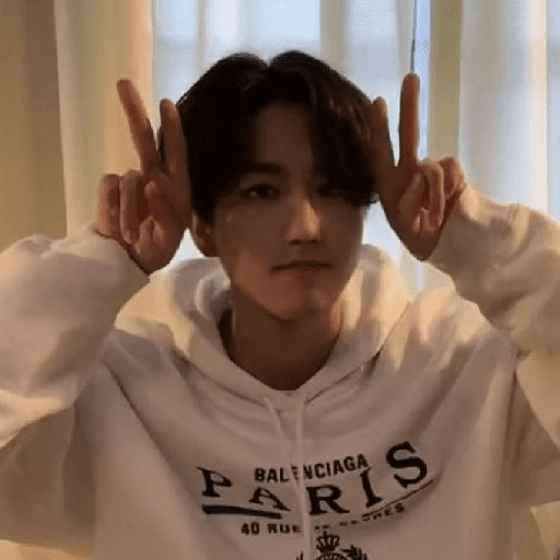 Han-Stray kids (⁠≧⁠▽⁠≦⁠) 3