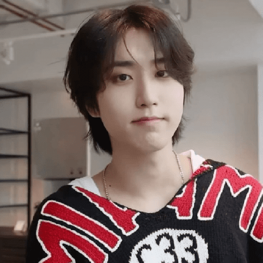 Han-Stray kids (⁠≧⁠▽⁠≦⁠) 6