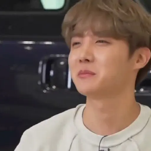 Hobi2