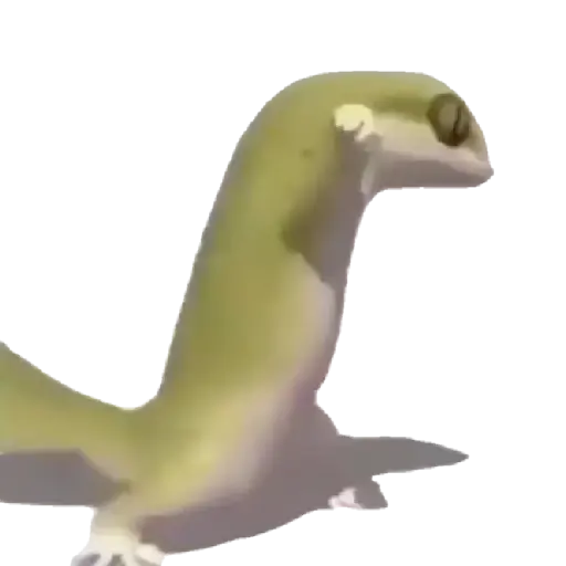 Memes animados 6 6