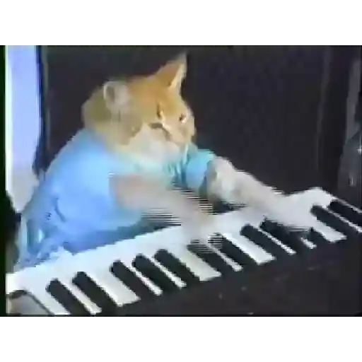 Memes animados 6 4