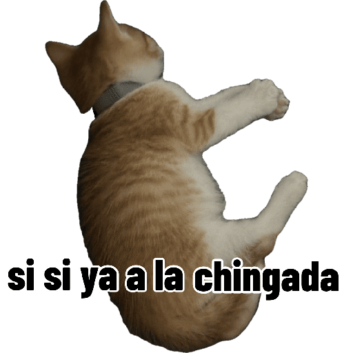 Memes 23