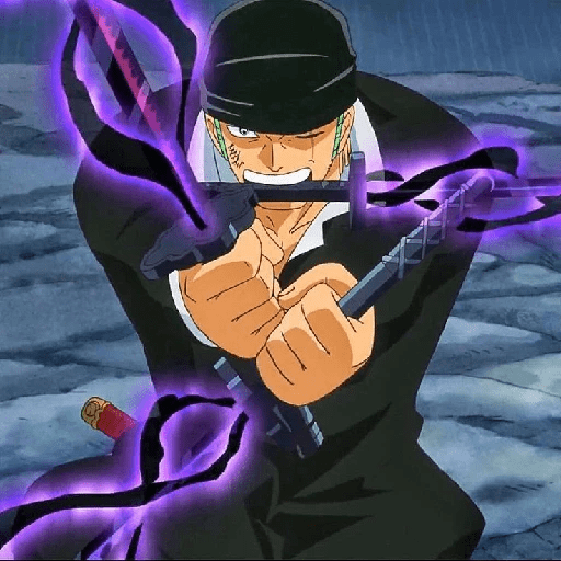 Zoro 13/14 2
