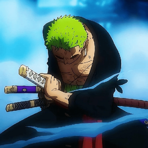 Zoro 13/14 5