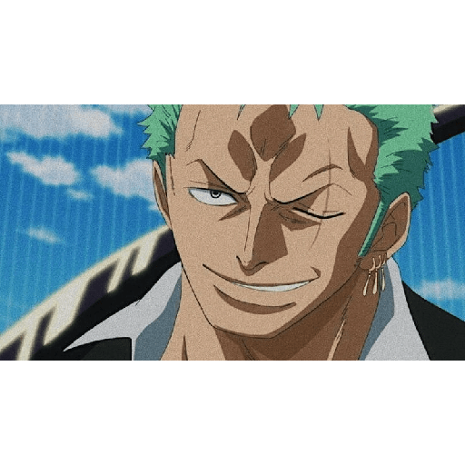Zoro 13/14 8