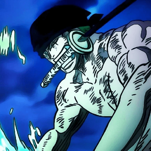 Zoro 13/14 10