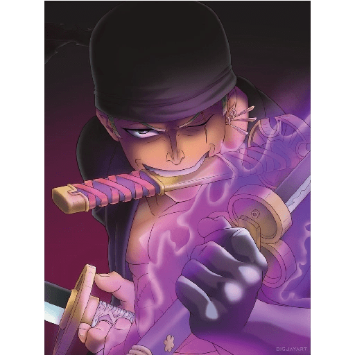 Zoro 13/14 11
