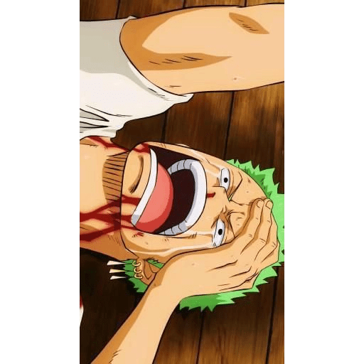 Zoro 13/14 12