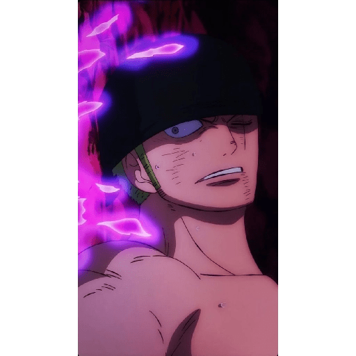 Zoro 13/14 13