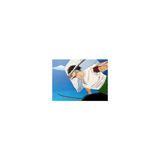 Zoro 13/14 16