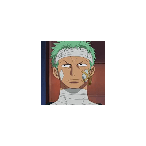 Zoro 13/14 17