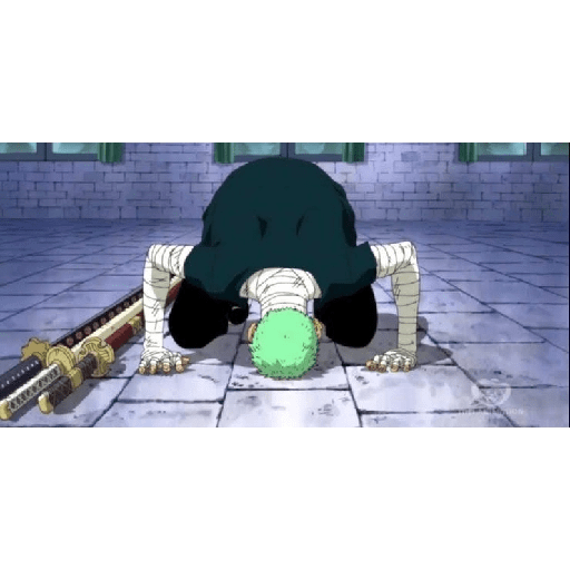 Zoro 13/14 18