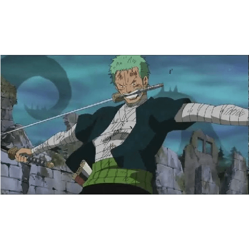 Zoro 13/14 19