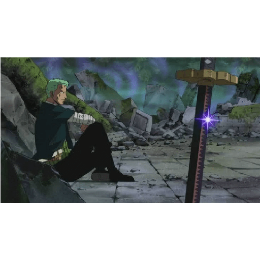 Zoro 13/14 20