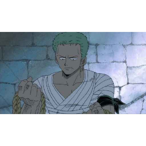 Zoro 13/14 21