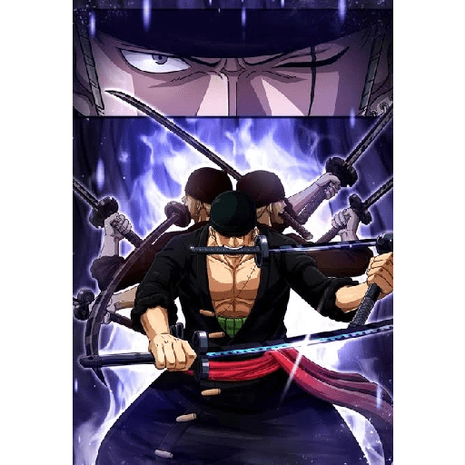 Zoro 13/14 22
