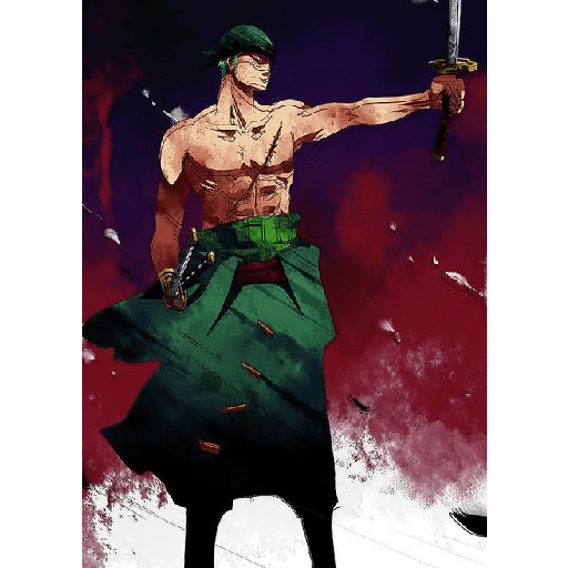 Zoro 13/14 26