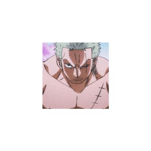 Zoro 13/14 27