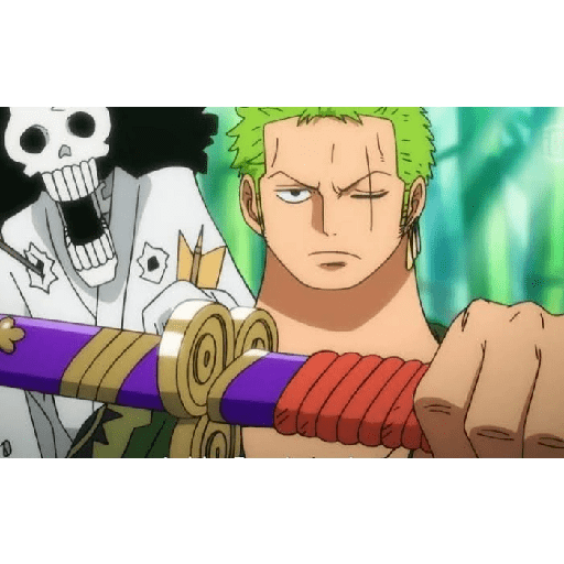 Zoro 13/14 28