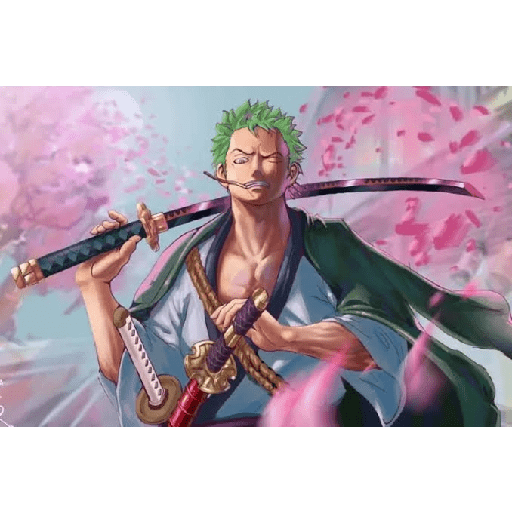 Zoro 13/14 29