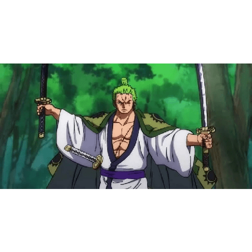 Zoro 13/14 30