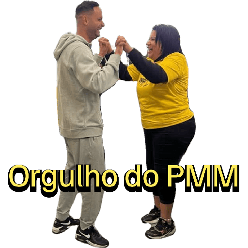 Minhas figurinhas 13