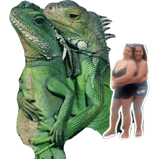 Minhas figurinhas 6