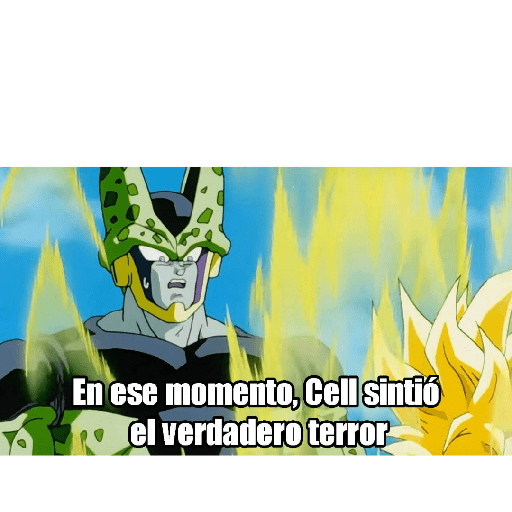 Sigan viendo  6