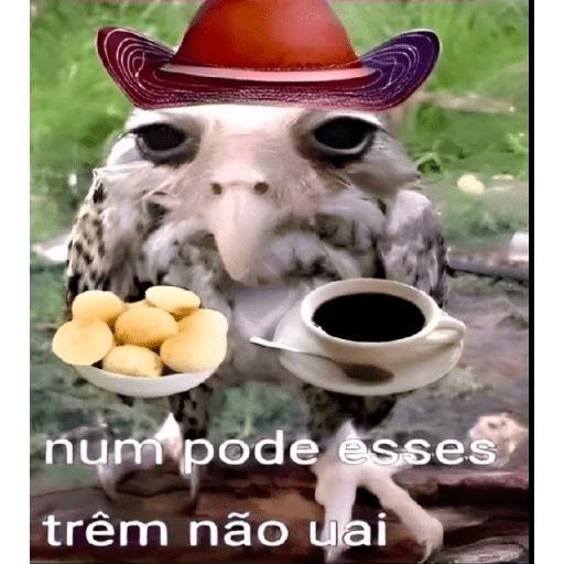 Aaaa 2