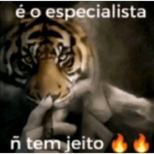 Aaaa 3