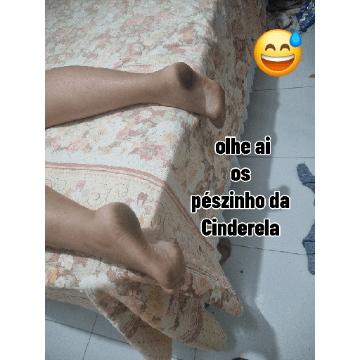 Meu 6