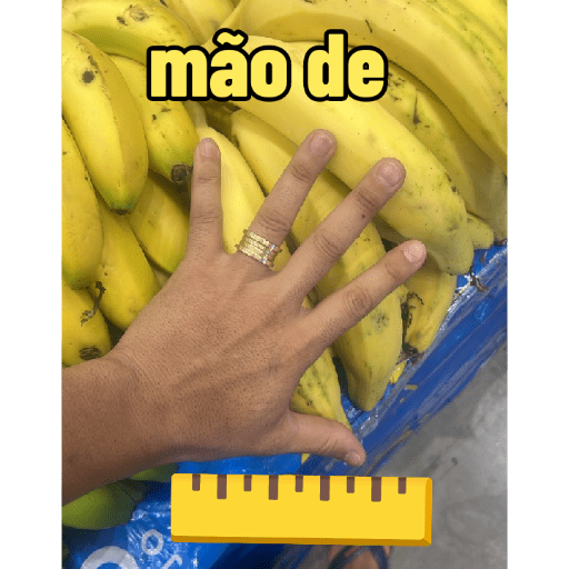 Meu 10