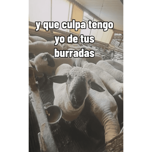 Mis pegatinas 8