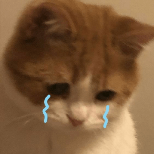 Twitter Reaction Pics 😼 25