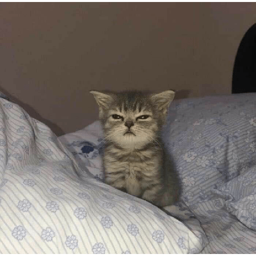Twitter Reaction Pics 😼 30