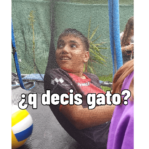 Sticker Image