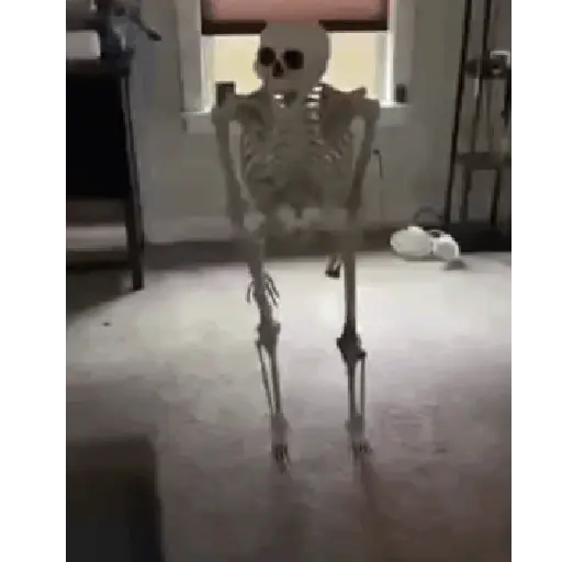 Cats 9