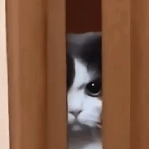 Cats 4
