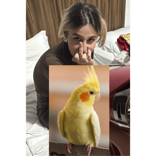 Sticker Image