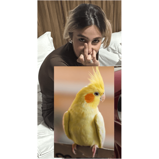Sticker Image